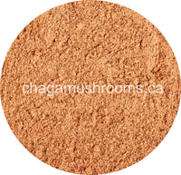 buy bulk chaga extract powder