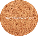 buy bulk chaga extract powder